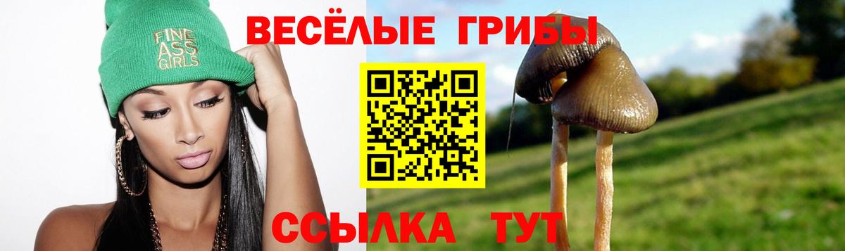 Новокубанск  Псилоцибиновые грибы прущие грибы  Вход с VPN  Псилоцибиновые грибы GOLDEN TEACHER 